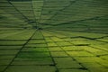 Spider web rice field in Ruteng. Royalty Free Stock Photo