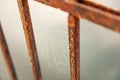 Spider web on rusty metal fence background. Royalty Free Stock Photo