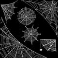 Spider web set - white on black background. Halloween design elements. Doodle line art. Creepy spiderwebs collection Royalty Free Stock Photo