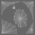 Spider web silhouette arachnid fear graphic flat scary animal design nature insect danger horror vector icon. Royalty Free Stock Photo