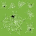 Spider web silhouette arachnid fear graphic flat scary animal design nature