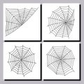 Spider web silhouette arachnid fear graphic flat scary animal design nature insect danger horror vector icon.