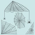 Spider web silhouette arachnid fear graphic flat scary animal design nature insect danger horror vector icon. Royalty Free Stock Photo