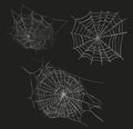 Spider web sketch vector illustration. Royalty Free Stock Photo