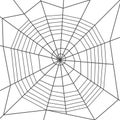 Spider web, spiral type. Halloween decoration.