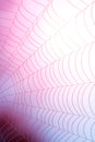 Spider Web Royalty Free Stock Photo