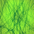 Spider web surrounded by flying particles on misty green background. Abstract scary backdrop. 3d rendering illustration