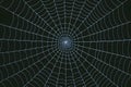 Spider web texture background adds depth and intrigue