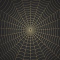 Spider web texture background adds depth and intrigue