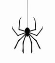 spider on web thread, vector