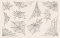 Spider Web Vector Set, Halloween Cobweb Illustration Royalty Free Stock Photo