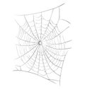 Spider web vector symbol icon design. Beautiful illustration iso Royalty Free Stock Photo