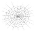 Spider web vector symbol icon design. Beautiful illustration iso Royalty Free Stock Photo