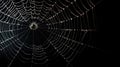 Spider web with water drops isolated on black background on Halloween