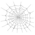 Spider web on white Royalty Free Stock Photo