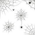 Spider web on white background. Vector