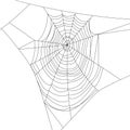 Spider web