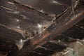 Spider web on the wooden ceiling