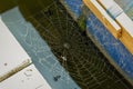 Spider web , web woven, spider, nature, web Royalty Free Stock Photo