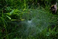 The spider web is woven into a tunnel scene