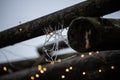 Spider Webs covered with snow and frost. Frozen tree branch in winter forest. Beautiful winter season background Royalty Free Stock Photo