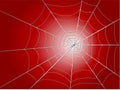 Spider wed Royalty Free Stock Photo