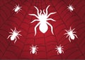 Spider white on Cobweb Red background. Vector illustration design Royalty Free Stock Photo