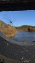 The spider wove a net over the river. Royalty Free Stock Photo