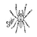 Spider in zentangle style. Vector hand drawn doodle sketch for tattoo, print