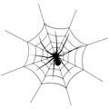Spider6