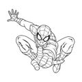 spider black white vector for coloring