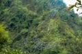 Spidernet with rain drops, Sapa, Northern Vietnam Royalty Free Stock Photo