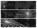 Spiders cards spider web silhouette spooky nature halloween element vector cobweb decoration fear spooky net.