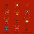 Spiders cartoon set, dangerous insects collection