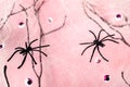 Spiders, cobwebs and monster eyes on halloween pink pastel background
