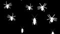 Arthropods running up