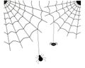 Spiders knit a spider web.Illustration for halloween Royalty Free Stock Photo