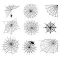 Spiders vector web silhouette spooky spider nature halloween element cobweb decoration fear spooky net.