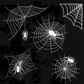 Spiders vector web silhouette spooky spider nature halloween element cobweb decoration fear spooky net.