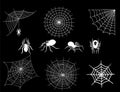 Spiders and spider web silhouette spooky nature halloween element vector cobweb decoration fear spooky net.