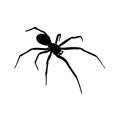 Spiders Vector Design Logo. Spiders Illustration With Various Shapes and Different movements Royalty Free Stock Photo