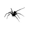 Spiders Vector Design Logo. Spiders Illustration With Various Shapes and Different movements Royalty Free Stock Photo