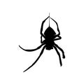 Spiders Vector Design Logo. Spiders Illustration With Various Shapes and Different movements Royalty Free Stock Photo