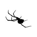 Spiders Vector Design Logo. Spiders Illustration With Various Shapes and Different movements Royalty Free Stock Photo