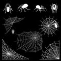 Spiders vector web silhouette spooky spider nature halloween element cobweb decoration fear spooky net.