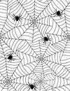 Spiders in web