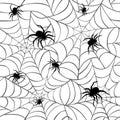 Spiders on Webs