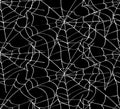 Spiderweb black invert seamless pattern.