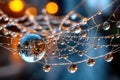 Spiderweb with Dewdrops Reflecting City Lights at Night Royalty Free Stock Photo