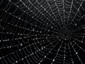 Spiderweb with raindrops background